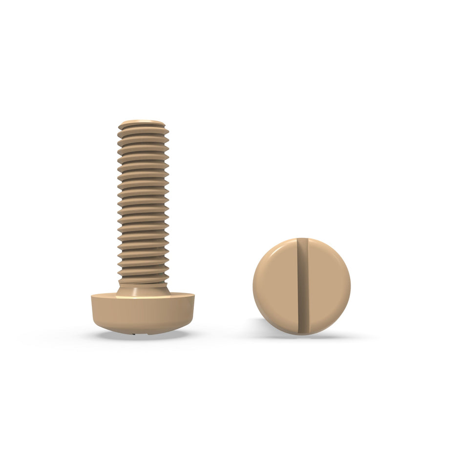 Vis à tête cylindrique fendue impériale PEEK